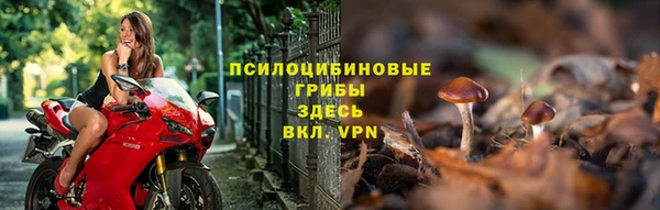 spice Бугульма