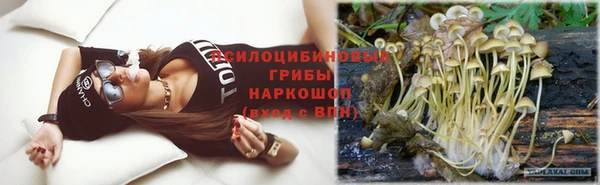 марки lsd Бородино