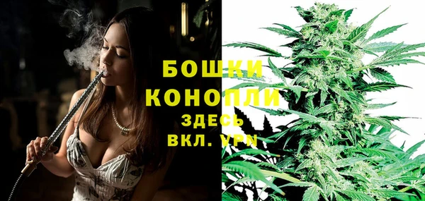 марки lsd Бородино