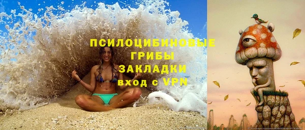 spice Бугульма